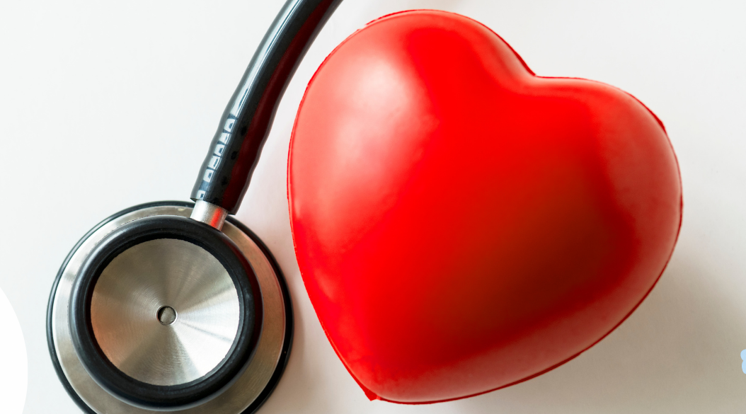 corazón-cardiovascular