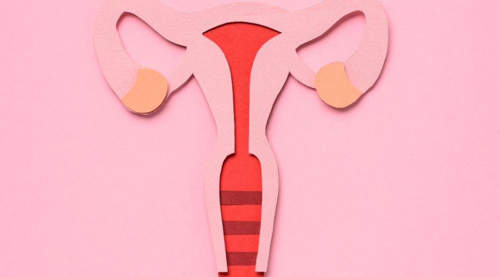 Utero-prolapso-ginecologia