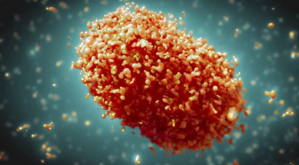 mokeypox-virueladelmono