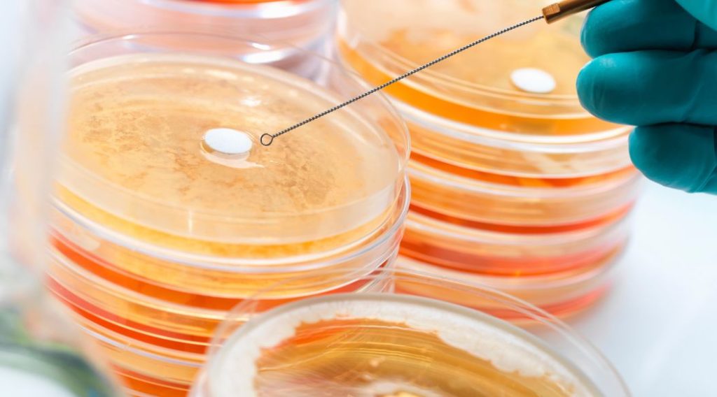 bacterias resistentes a los antibioticos