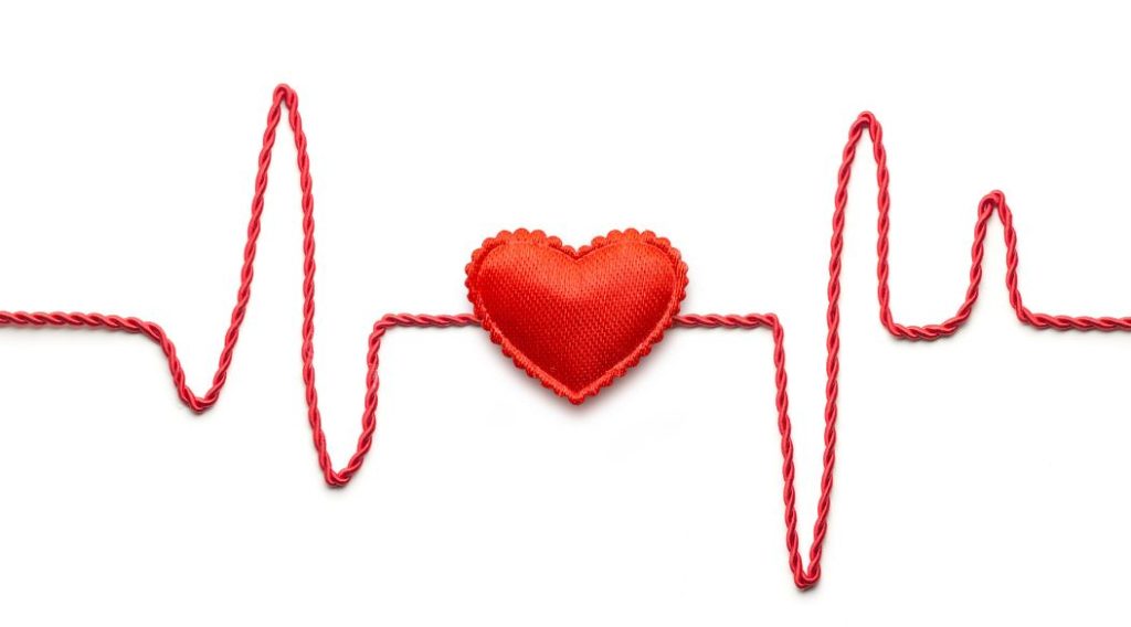 cardiovascular