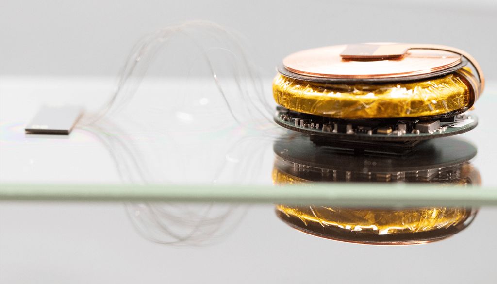 vacunas-inmunizacion